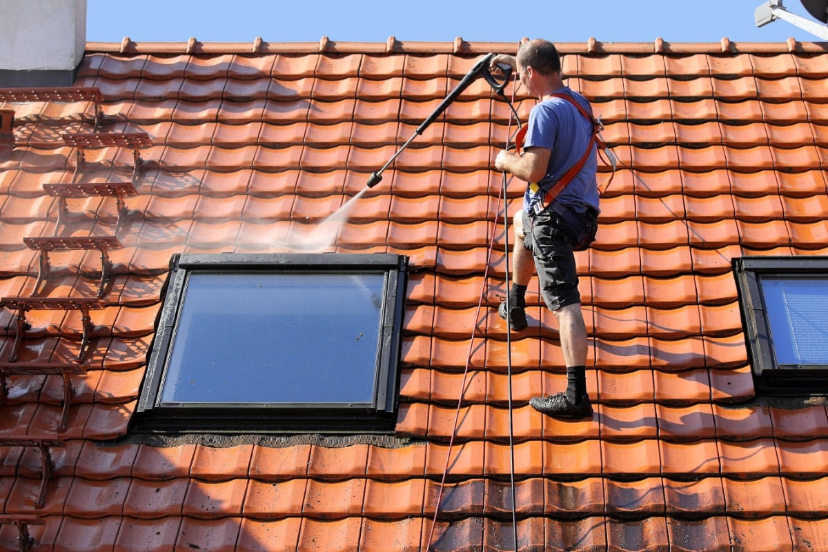 opgroeien weerstand bieden niemand Mos op dak verwijderen: prijs en werkwijze voor het ontmossen van daken
